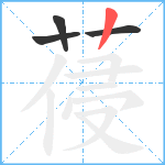 葠笔顺分解图片4