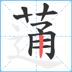 蓪笔顺分解图片11