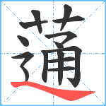 蓪笔顺分解图片15