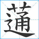 蓪笔顺分解图片16