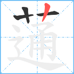 蓪笔顺分解图片4