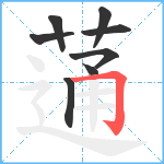 蓪笔顺分解图片8