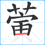 蔩笔顺分解图片13