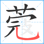 蔻笔顺分解图片10