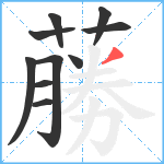 蕂笔顺分解图片10