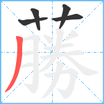 蕂笔顺分解图片5