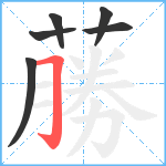 蕂笔顺分解图片6