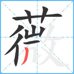 薇笔顺分解图片11