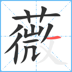 薇笔顺分解图片14