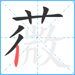 薇笔顺分解图片6