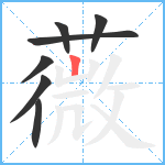 薇笔顺分解图片7