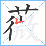 薇笔顺分解图片8