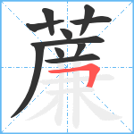 薕笔顺分解图片11