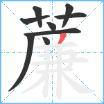 薕笔顺分解图片9