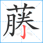 藤笔顺分解图片14