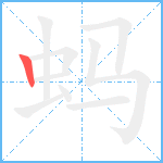 蚂笔顺分解图片1