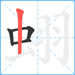 蛡笔顺分解图片4