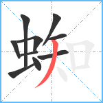 蜘笔顺分解图片10