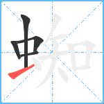 蜘笔顺分解图片5