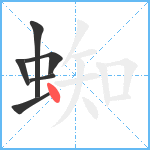 蜘笔顺分解图片6