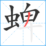 蜱笔顺分解图片12