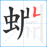 蜵笔顺分解图片10