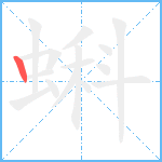 蝌笔顺分解图片1