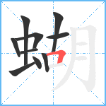 蝴笔顺分解图片10