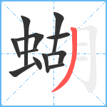 蝴笔顺分解图片12