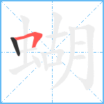 蝴笔顺分解图片2