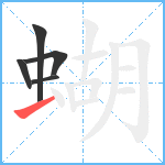 蝴笔顺分解图片5