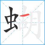 蝴笔顺分解图片7