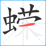 蝾笔顺分解图片12