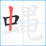 蝿笔顺分解图片4