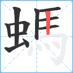 螞笔顺分解图片11