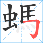 螞笔顺分解图片12