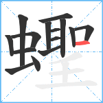 蟶笔顺分解图片15