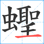 蟶笔顺分解图片19