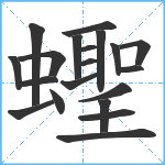 蟶笔顺分解图片20