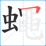 蠅笔顺分解图片8