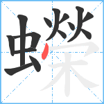 蠑笔顺分解图片15