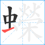 蠑笔顺分解图片5