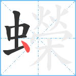 蠑笔顺分解图片6