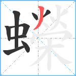 蠑笔顺分解图片9