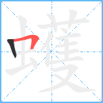 蠖笔顺分解图片2
