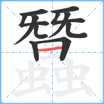 蠶笔顺分解图片11