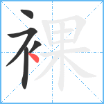 裸笔顺分解图片5