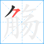 觞笔顺分解图片2