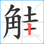 觟笔顺分解图片12