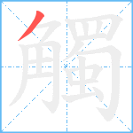 觸笔顺分解图片1